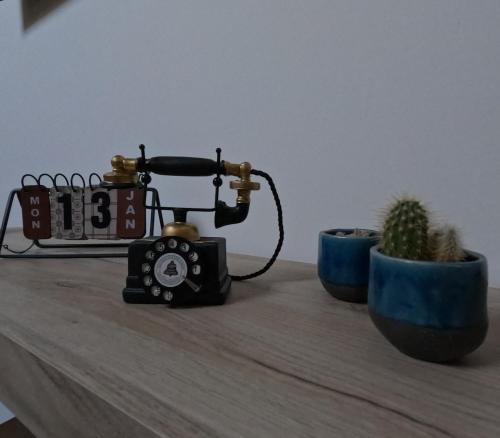 a camera sitting on a table next to a cactus at Nuit Romantique, Spa, Champagne, Cinéma, Flipper - Escapade Veyloise in Pont-de-Veyle