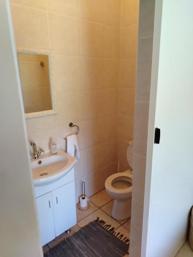 a bathroom with a sink and a toilet at Novalia in Colesberg