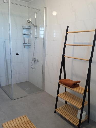 une salle de bain avec une douche avec une porte vitrée dans l'établissement Maison de vacances Sol & Piper, à Gombergean