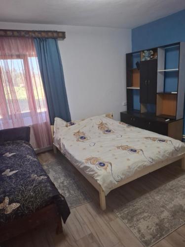 a bedroom with a bed and a tv in it at Cabana Mădălin&George in Râșca