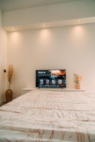 a bedroom with a bed with a flat screen tv on the wall at La Casa de Moerkapel in Moerkapelle