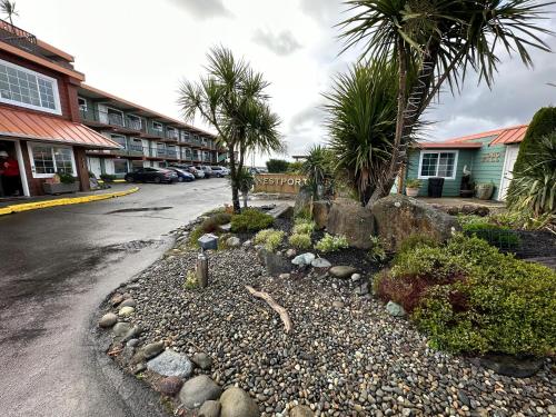 a street with a landscaping with rocks and palm trees at Westport Inn in Westport