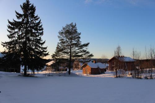 a group of trees and buildings in the snow at Allsta Gård Kretsloppshuset B&B in Bjärtrå