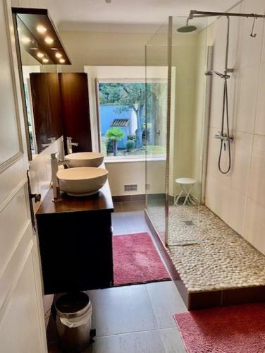 une salle de bain avec un lavabo et une douche en verre dans l'établissement Bergerie de L'horte, à Tourouzelle