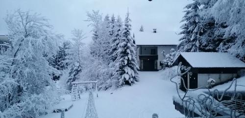 a snow covered yard with trees and a building at Haus Vanessa in Kerschdorf