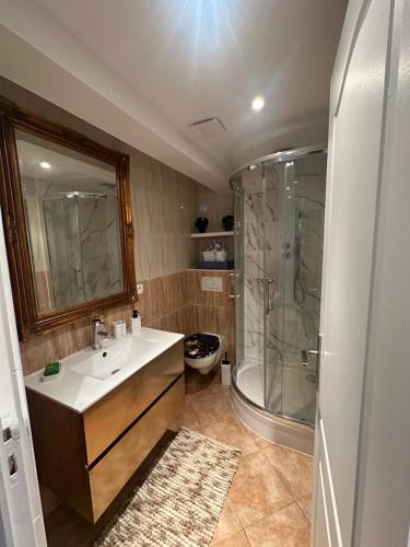 une salle de bain avec un lavabo et une douche dans l'établissement Appartement DJAhyane, à Champigny-sur-Marne