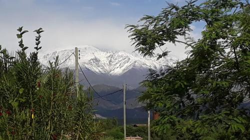 a snow covered mountain in the distance with trees at Urku Wasi II in Chilecito
