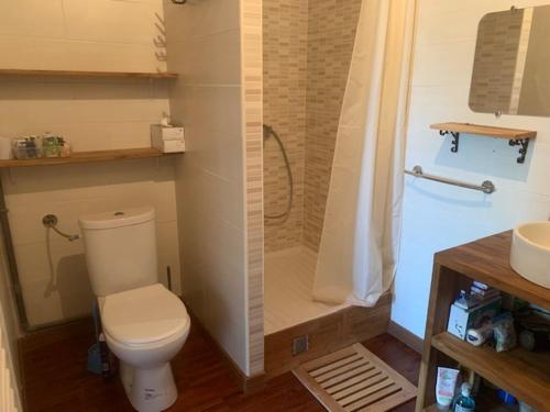 une salle de bain avec toilettes et douche dans l'établissement L'Aiglon, à Ax-les-Thermes