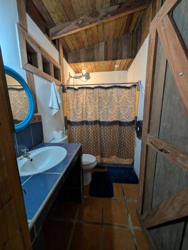 a bathroom with a sink and a toilet and a shower at La Gamba Rainforest Lodge in Golfito