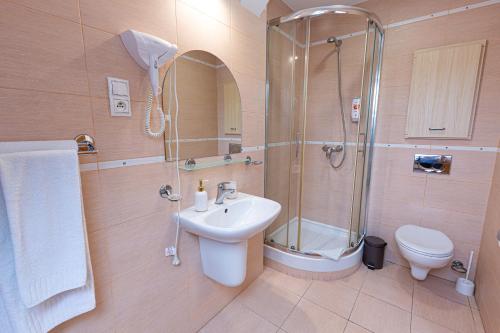 a bathroom with a shower and a sink and a toilet at Penzion Zlaty Orol in Helcmanovce