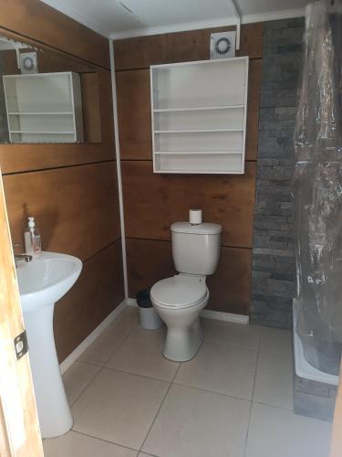 a bathroom with a toilet and a sink at Cabaña Renacer a 10 min del aeropuerto in Puerto Montt