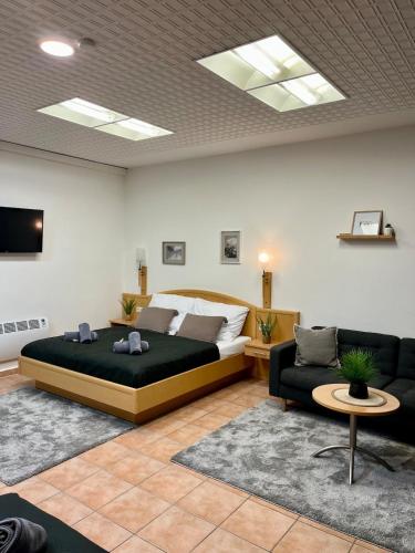Spacious Apartment in Vienna Center
