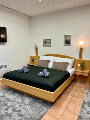 Spacious Apartment in Vienna Center