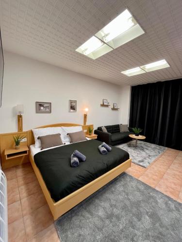 Spacious Apartment in Vienna Center