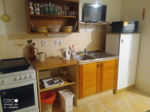 Kuchyň nebo kuchyňský kout v ubytování Nádherný klidný apartmán s infrasaunou