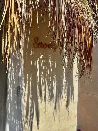 a shadow of a plant in front of a wall at Casa Klod Ibiza in Ibiza Town