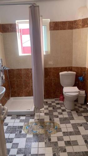 a bathroom with a toilet and a shower with a tiled floor at Sulaj Sea View 1 in Himare
