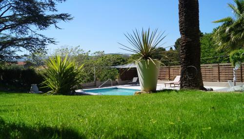 a swimming pool in a yard with a palm tree at Chambre d'hôtes Clos du Petit Jésus in Cassis