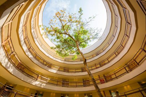a tree in the middle of a building with a dome at Costeira Palace Beach Resort All Inclusive in Natal
