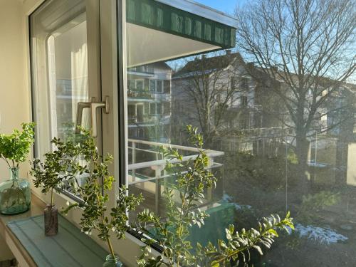 Κήπος έξω από το Ideale Unterkunft in Düsseldorf-Nord