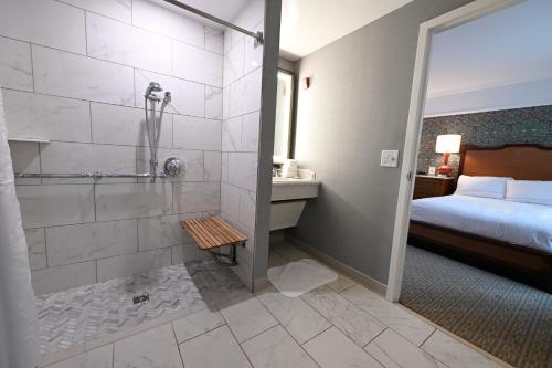a bathroom with a shower and a bathroom with a bed at Hotel Roanoke & Conference Center, Curio Collection by Hilton in Roanoke
