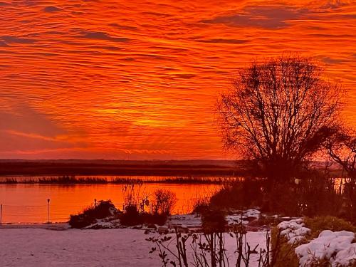 a sunset over a body of water with a tree at Ferienhaus Am Achterwasser in Ueckeritz