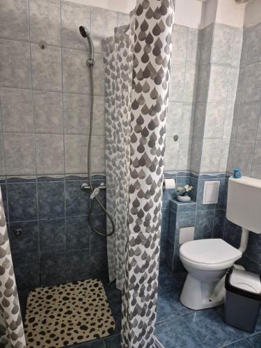 a bathroom with a shower with a toilet and a shower curtain at Ava Studio in Cisnădie