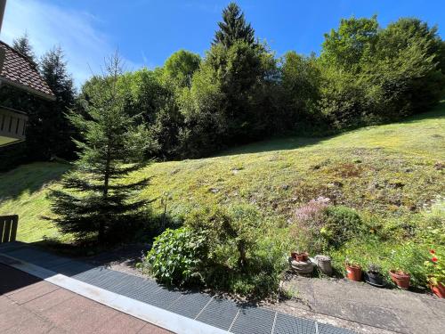 Zahrada ubytování Schwarzwald Apartment mit Sauna 2 Zimmer frisch renoviert