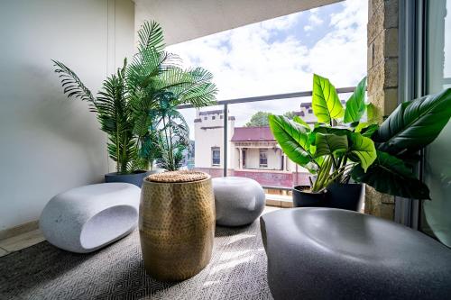 a room with a window with plants and a table at Bright 1BR with On-Site Gym I Sauna I Pool and Parking in Sydney