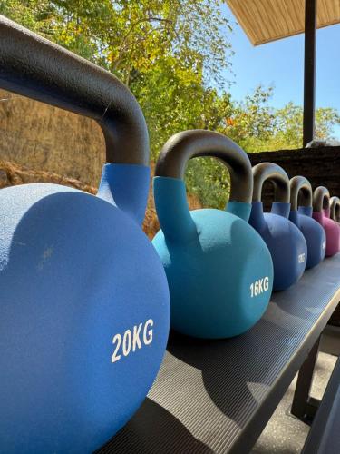a row of blue dumbbells sitting on a bench at Garden Suite at Solindo Stays in Marbella