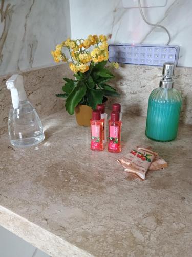 Billede fra billedgalleriet på Recanto do Paraíso i Paraty