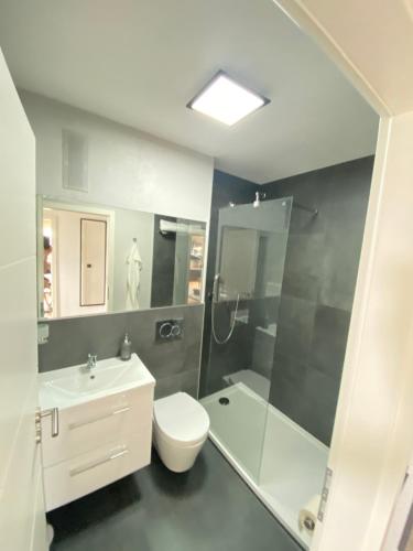 a bathroom with a toilet and a sink and a shower at Apartment Weitblick in Braunschweig