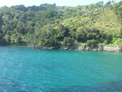 a large body of water with a mountain at Civico 3 in Portofino