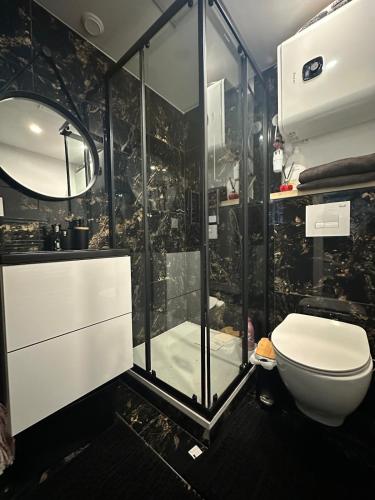 une salle de bain avec une douche en verre et des toilettes dans l'établissement Cabanon aux films, à Saint-Brieuc