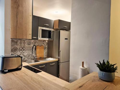 une cuisine avec un réfrigérateur en acier inoxydable et un comptoir dans l'établissement Lys'Home-Charming apartment Sablettes Beach, à La Seyne-sur-Mer