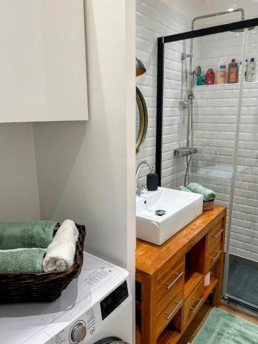 une salle de bain avec un lavabo et une machine à laver dans l'établissement Lys'Home-Charming apartment Sablettes Beach, à La Seyne-sur-Mer