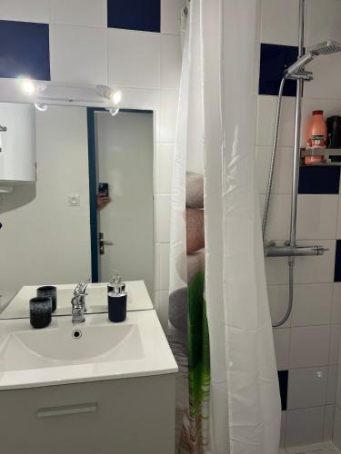 une salle de bain blanche avec un lavabo et une douche dans l'établissement Appartement T 2 4 personnes, à Fleury