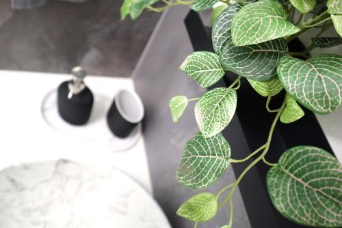 Φωτογραφία από το άλμπουμ του Apartment I9 στην Ιεράπετρα