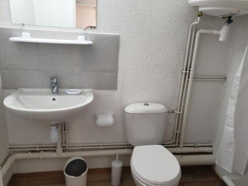 une petite salle de bain avec toilettes et lavabo dans l'établissement Studio meublé centre ville Paray le Monial 116, à Paray-le-Monial