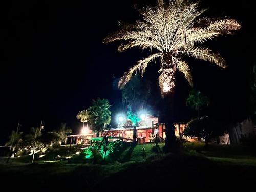 a palm tree in front of a building at night at Rancho Recanto da Serra in Delfinópolis
