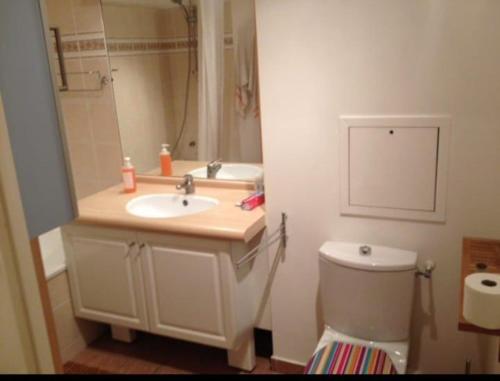 une salle de bain avec un lavabo, des toilettes et un miroir dans l'établissement Apartment with Terrace La Défense, à Courbevoie