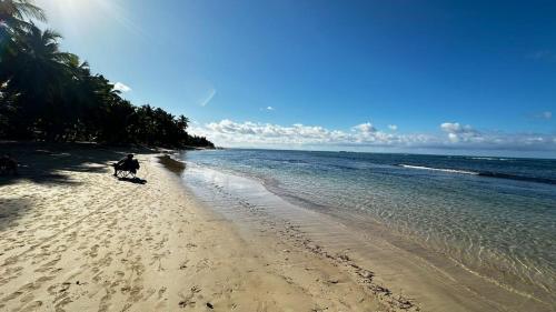 a dog walking on a sandy beach near the ocean at Casa Ballenas1 SF in Las Terrenas