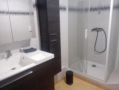 une salle de bain avec un lavabo et une douche dans l'établissement Pleinitude 4 avec 2 chambres à louer separement, au Mans