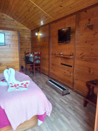a bedroom with a bed and a tv on a wall at Cabanas La Suisse in Campos do Jordão