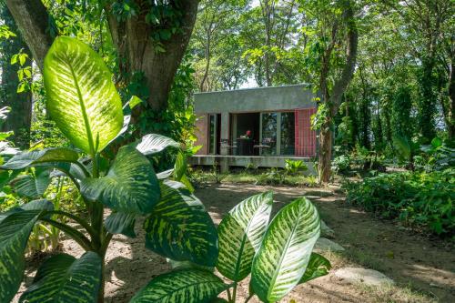 REFUGIO Nature meets Luxury