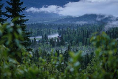 a view of a river with trees and a mountain at River Safari Mountain View Suite in Blue River