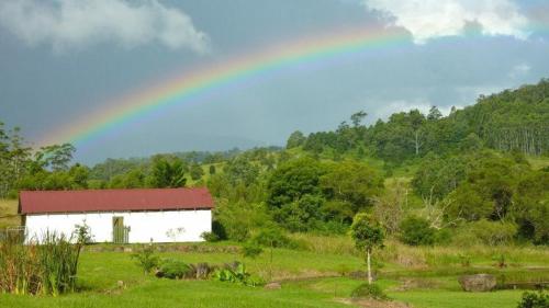 Příroda nedaleko bed and breakfast