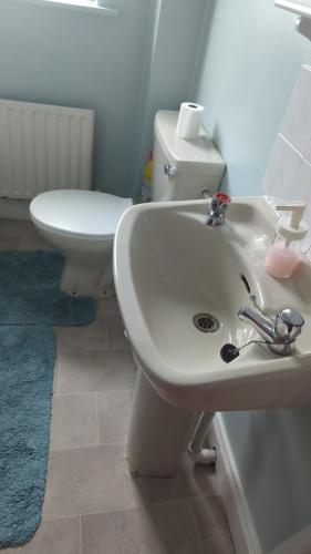 a bathroom with a white sink and a toilet at FEMALES Only in Lucan