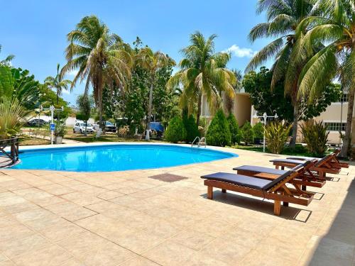 a swimming pool with two benches and palm trees at Villas Paraíso in Mérida