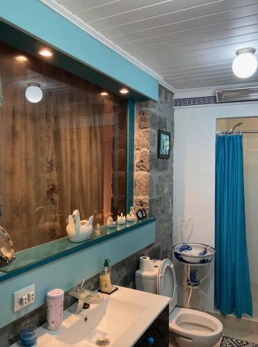 a bathroom with a sink and a toilet and a mirror at Casa da Música BR in Furnas